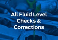 All Fluid Level Checks & Corrections